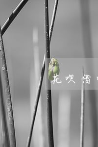 花呗借呗逾期点击反馈多久打电话 花呗借呗逾期点击反馈多久打电话
