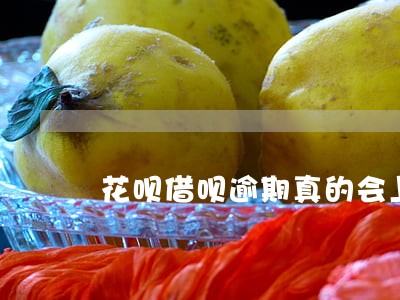 花呗借呗逾期真的会上门嘛 花呗借呗逾期真的会上门嘛