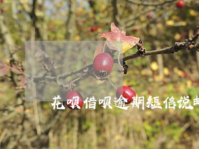 花呗借呗逾期短信说邮寄了函件 花呗借呗逾期短信说邮寄了函件
