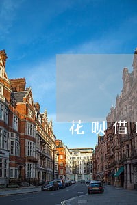 花呗借呗逾期立案算诈骗吗 花呗借呗逾期立案算诈骗吗