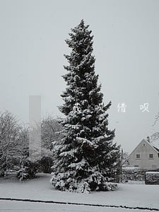 花呗借呗逾期第三方会上门走访吗 花呗借呗逾期第三方会上门走访吗
