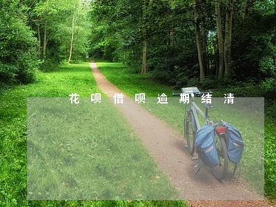 花呗借呗逾期结清 花呗借呗逾期结清