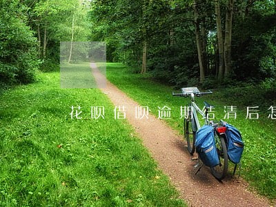 花呗借呗逾期结清后怎么消除 花呗借呗逾期结清后怎么消除