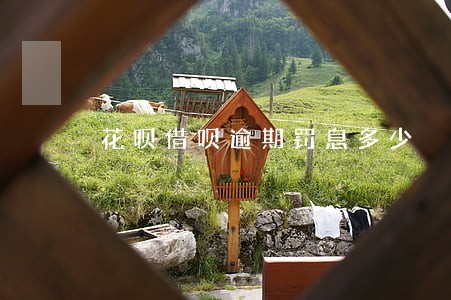 花呗借呗逾期罚息多少 花呗借呗逾期罚息多少