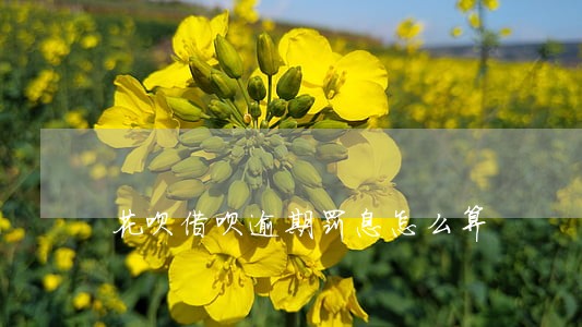 花呗借呗逾期罚息怎么算 花呗借呗逾期罚息怎么算