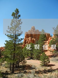 花呗借呗逾期罚息过本金了 花呗借呗逾期罚息过本金了