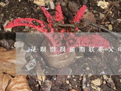 花呗借呗逾期联系父母合法吗 花呗借呗逾期联系父母合法吗