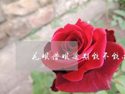 花呗借呗逾期能不能办信用卡 花呗借呗逾期能不能办信用卡