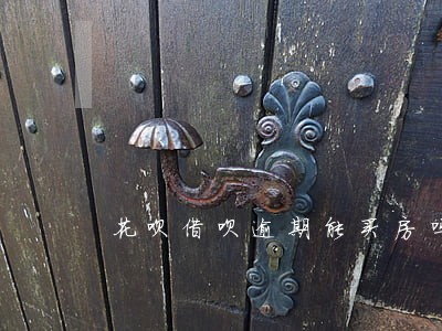 花呗借呗逾期能买房吗 花呗借呗逾期能买房吗