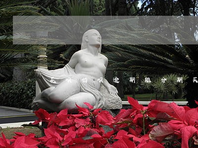 花呗借呗逾期能分期买车吗 花呗借呗逾期能分期买车吗
