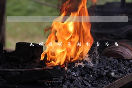 花呗借呗逾期能否协商 花呗借呗逾期能否协商