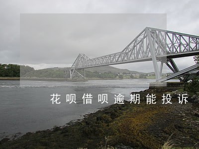 花呗借呗逾期能投诉 花呗借呗逾期能投诉