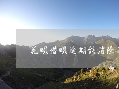 花呗借呗逾期能消除逾期记录吗 花呗借呗逾期能消除逾期记录吗