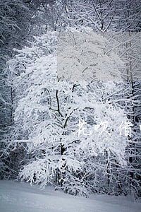 花呗借呗逾期能淘宝买东西 花呗借呗逾期能淘宝买东西
