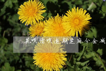花呗借呗逾期芝麻分会减分吗 花呗借呗逾期芝麻分会减分吗
