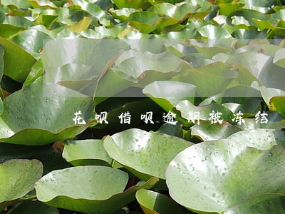 花呗借呗逾期被冻结 花呗借呗逾期被冻结