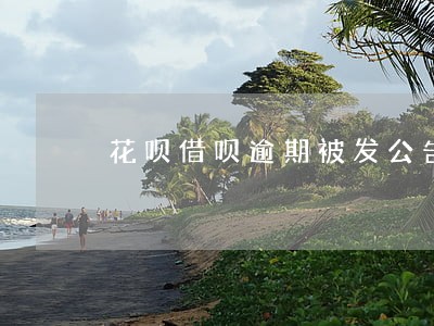花呗借呗逾期被发公告涵 花呗借呗逾期被发公告涵