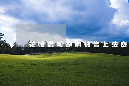 花呗借呗逾期被告上法庭 花呗借呗逾期被告上法庭