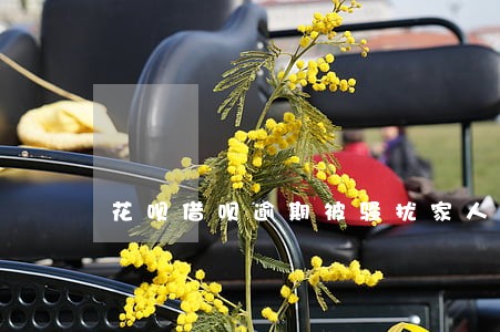 花呗借呗逾期被骚扰家人找谁投诉 花呗借呗逾期被骚扰家人找谁投诉