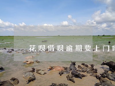 花呗借呗逾期要上门吗 花呗借呗逾期要上门吗