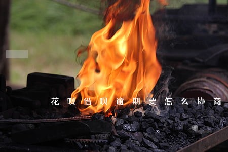 花呗借呗逾期要怎么协商 花呗借呗逾期要怎么协商