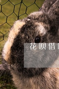 花呗借呗逾期要指定账户吗 花呗借呗逾期要指定账户吗