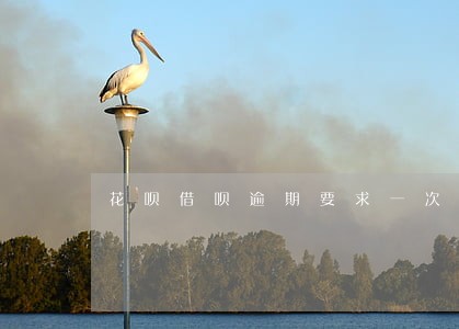 花呗借呗逾期要求一次性结清 花呗借呗逾期要求一次性结清