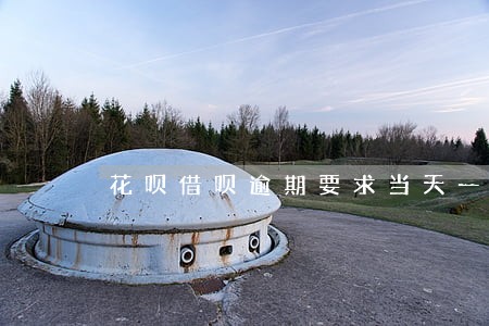 花呗借呗逾期要求当天一次性还清 花呗借呗逾期要求当天一次性还清