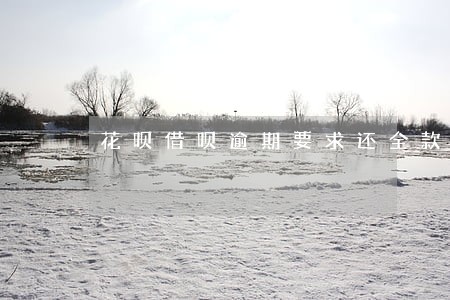花呗借呗逾期要求还全款还不上 花呗借呗逾期要求还全款还不上