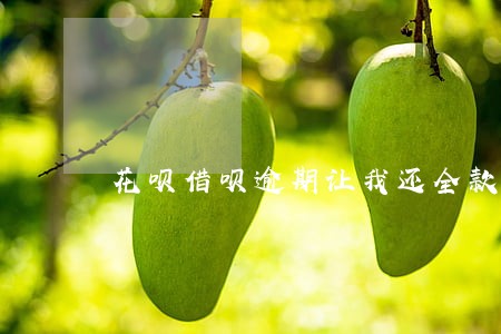 花呗借呗逾期让我还全款 花呗借呗逾期让我还全款
