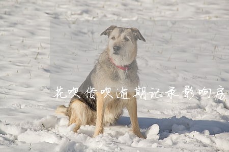 花呗借呗逾期记录影响房贷 花呗借呗逾期记录影响房贷