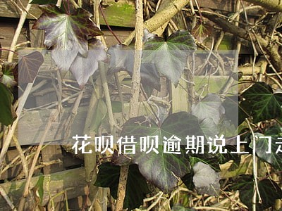 花呗借呗逾期说上门走访是真的吗 花呗借呗逾期说上门走访是真的吗