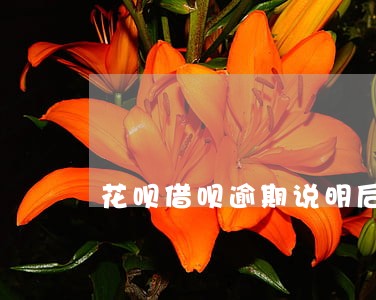 花呗借呗逾期说明后要诉讼了 花呗借呗逾期说明后要诉讼了
