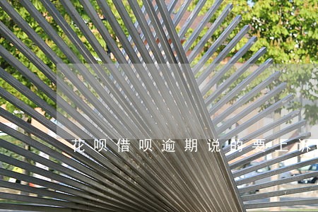 花呗借呗逾期说的要上诉是真的吗 花呗借呗逾期说的要上诉是真的吗