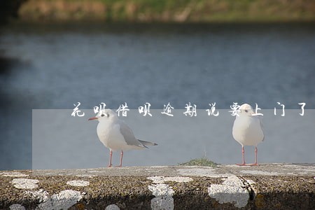 花呗借呗逾期说要上门了解情况 花呗借呗逾期说要上门了解情况