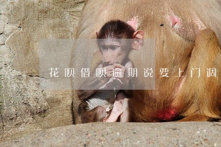 花呗借呗逾期说要上门调查 花呗借呗逾期说要上门调查