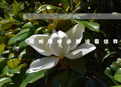 花呗借呗逾期说要给我发律师函 花呗借呗逾期说要给我发律师函