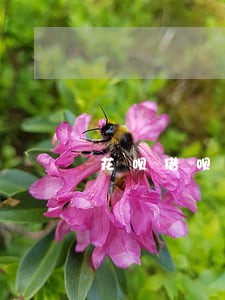 花呗借呗逾期说要联系家人 花呗借呗逾期说要联系家人