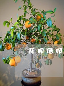 花呗借呗逾期购房 花呗借呗逾期购房
