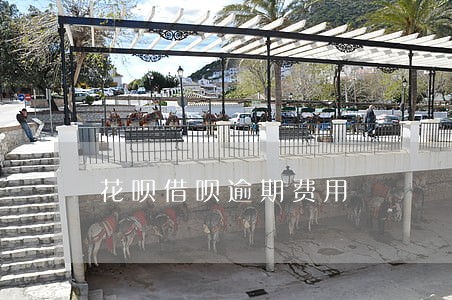 花呗借呗逾期费用 花呗借呗逾期费用