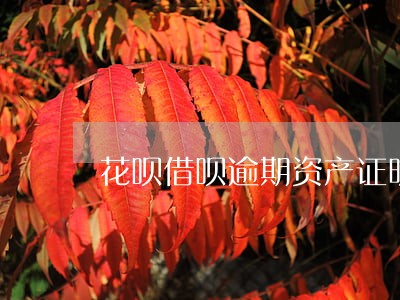 花呗借呗逾期资产证明 花呗借呗逾期资产证明