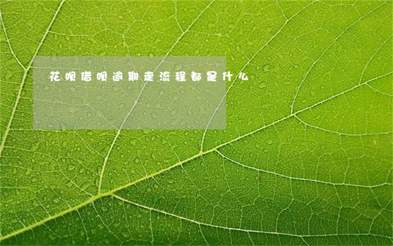 花呗借呗逾期走流程都是什么 花呗借呗逾期走流程都是什么