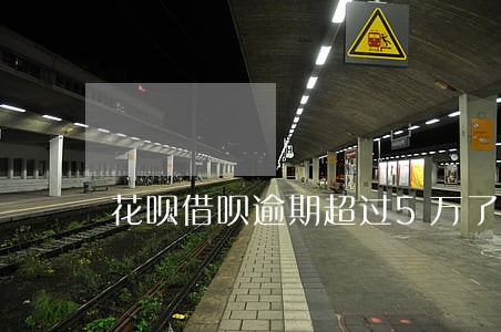 花呗借呗逾期超过5万了会怎么样 花呗借呗逾期超过5万了会怎么样
