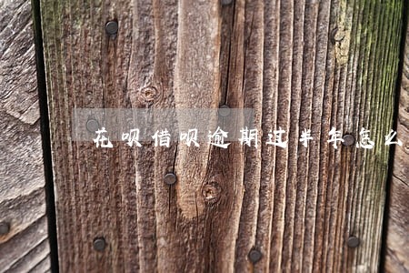 花呗借呗逾期过半年怎么买车 花呗借呗逾期过半年怎么买车