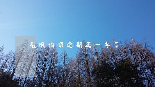 花呗借呗逾期还一年了 花呗借呗逾期还一年了