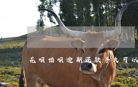 花呗借呗逾期还款多久可以恢复 花呗借呗逾期还款多久可以恢复