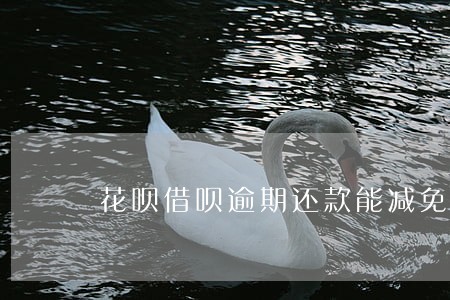 花呗借呗逾期还款能减免吗 花呗借呗逾期还款能减免吗
