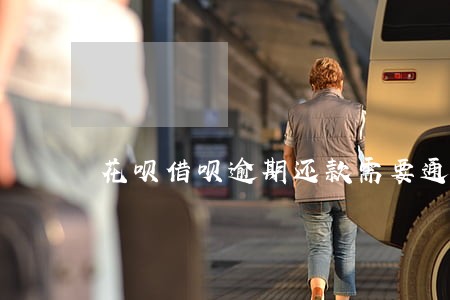 花呗借呗逾期还款需要通知客服吗 花呗借呗逾期还款需要通知客服吗