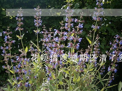 花呗借呗逾期还清了多久能恢复 花呗借呗逾期还清了多久能恢复