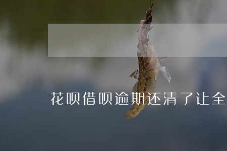 花呗借呗逾期还清了让全部还款